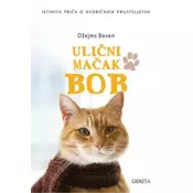Ulicni macak Bob