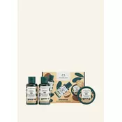 Shea Haircare Starter Kit