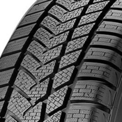 Sunny Wintermax NW211 ( 225/45 R17 94V XL )