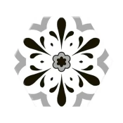 Versalles Deco Black 20x24