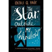 The Star Outside my Window