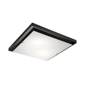 Plafonsko svetlo 2xE27/60W/230V