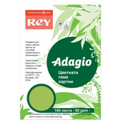 Kopirni papir u boji Rey Adagio - Spring Green, A4, 80 g, 100 listova