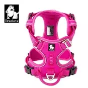 Truelove Oprsnica LED - ROZA M