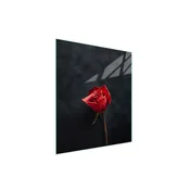shumee Steklena deska za rezanje 45x52 Rose