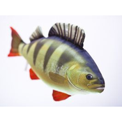 Riba - igrača GABY The Perch 50 cm - ostriž | GP-175051