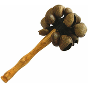 Terre Shaker Pangi