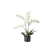 Umetna rastlina v loncu Bloomingville Orchid Plant 84 cm