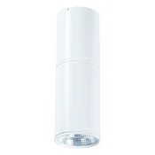 LED plafonska lampa F2603-12C WH