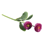 Rayher Marjetica, roza, 23cm, dva cvetova, (20633987)
