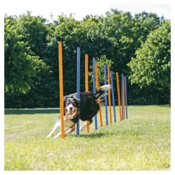 Trixie Agility prepreke, 12 kom