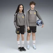 PUMA Manchester City Training Shorts Youth, Clothing, Black/Cast Iron, 15-16Y