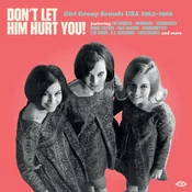 Various Artists - Dont Let Him Hurt You! Girl Group Sounds USA 1962-1968 (LP)