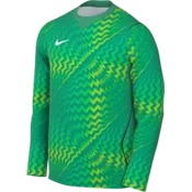Nike Dres z dolgimi rokavi Dri-FIT Gardien VI Goalkeeper Long Sleeve
