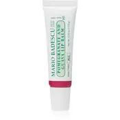 Mario Badescu Pomegranate and Guava Lip Balm vlažilni balzam za ustnice 10 g