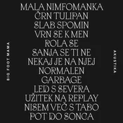 posneti mediji BIG FOOT MAMA - AKUSTIKA, (689107)