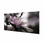 tulup.si Stenska plošča za kuhinjo Magnolia 120x60 cm