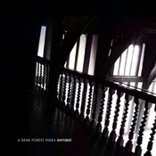 A Dead Forest Index - Antique (LP)