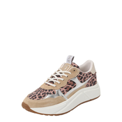 STEVE MADDEN Nizke superge Starlyn bež/rjava/rosé/srebrna