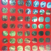 John Dwyer & Ted Byrnes & Greg Coates & Tomas Dolas & Brad Caulkins - Endless Garbage (Limited Edition) (LP)