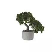 BONSAI