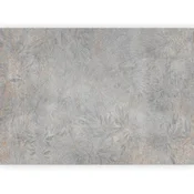 artgeist Fototapeta Gray Of Nature, 300x210cm