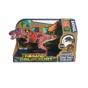 Tiranosaurus ic ( 11/19071 )