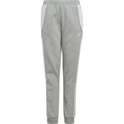 Adidas Hlače siva 135 - 140 cm/S Tiro 24