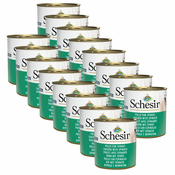 Schesir dog Adult – piščanec s špinačo 16x285 g