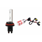 AMIO hid ksenonska žarnica h8 h9 h11 4300k amio-1414