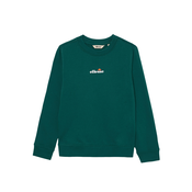 ELLESSE Majica Fairros temno zelena/oranžna/češnjevo rdeča/bela