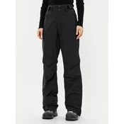 Protest Skijaške hlace Cinnamones 4612400 Crna Regular Fit