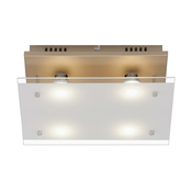 Briloner 3586-047 - LED plafonsko svetlo SMART GOLD 4xGU10/4W/230V