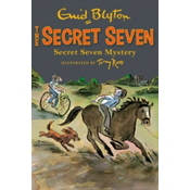 Secret Seven: Secret Seven Mystery