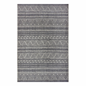 Siva zunanja preproga 190x290 cm Clyde Loto – Hanse Home