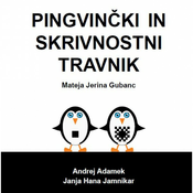 Tipna slikanica: Pingvinčki in skrivnostni travnik, Mateja Jerina Gubanc