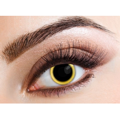 Eyecasions Kontaktne leče- enodnevni - Eclipse
