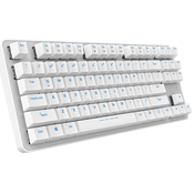 Wireless mechanical keyboard Dareu EK807G 2.4G (white)