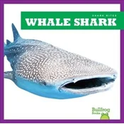 Whale Shark