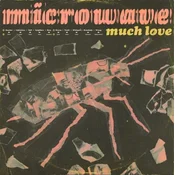 Microwave - Much Love (10th Anniversary Edition) (Clear Pink Swirl Coloured) (2 LP)