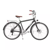 Oolter Električno kolo Eke M 1448x82x225 cm sivo