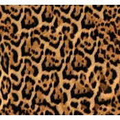 shumee ZUNANJE DEKORATIVNE TKANINE OXFORD - Motiv Ocelot I DR080
