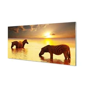 tulup.si Stenska plošča za kuhinjo Zebras voda sončni zahod 125x50 cm