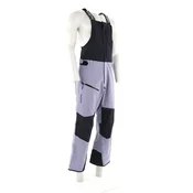 Salomon Moon Patrol GTX Bib Moški Smučarske hlače Gore-Tex