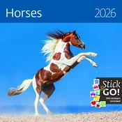 Koledar Konji 2026, EC