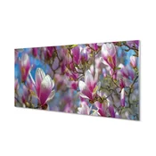tulup.si Stenska plošča za kuhinjo Magnolija drevo 100x50 cm