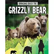 Grizzly Bear