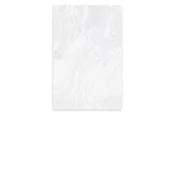 Ploska vrečka (LDPE) prozorna 20 x 30 cm [100 kosov]