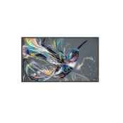 Profesionalni LED zaslon Philips 50BDL3511Q/00 (50, 4K Ultra HD, 18/7)
