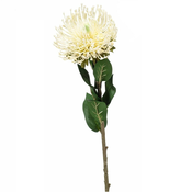 Umetna roža Bodak 70cm krem - 50 do 75 cm